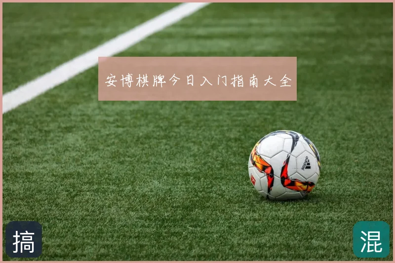 安博棋牌今日入门指南大全